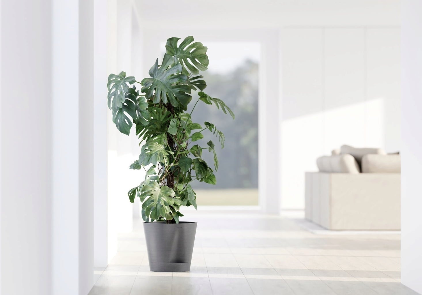 Ecopots Venice 2 - Grey  - Ø 20 cm, height 17.5 cm