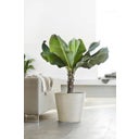 Ecopots Amsterdam Water Reservoir - White Grey - Ø 50 cm, H 44 cm