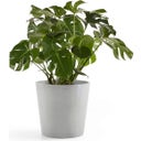 Ecopots Amsterdam Water Reservoir - White Grey - Ø 50 cm, H 44 cm