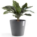 Ecopots Amsterdam Water Reservoir - Gris - Ø 40 cm, altura 35 cm