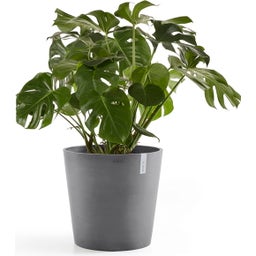Ecopots Pot Amsterdam Gris + Réservoir d'Eau - Ø 50 cm, hauteur 44 cm