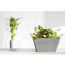 Ecopots Berlin - Grey  - H 15.5 x W 31 x L 31 cm (10 litres)