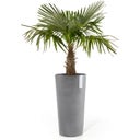 Ecopots Amsterdam Mid High 66 - Grey  - Ø 34 cm, height 66 cm