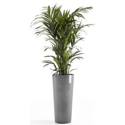 Ecopots Amsterdam Pflanztopf High 76 grau - Ø 41 cm, Höhe 76 cm