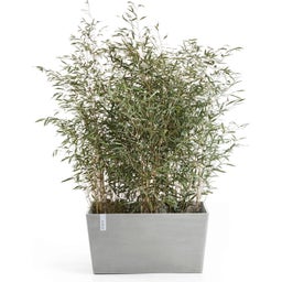 Ecopots Paris Pflanzgefäß - weißgrau - L 60 x T 26 x H 40 cm (46,7 Liter)