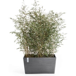 Ecopots Paris - Grey  - L 80 x D 42 x H 38 cm (100 litres)