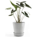 Ecopots Wheels Coaster - White Grey  - ∅ 28.70, height 8.30 cm