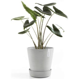 Ecopots Wheels Coaster - White Grey  - ∅ 28.70, height 8.30 cm