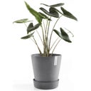 Ecopots Wheels Coaster - Grey  - ∅ 28.70, height 8.30 cm