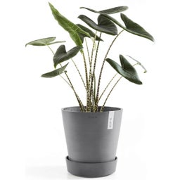 Ecopots Wheels Coaster - Grey  - ∅ 28.70, height 8.30 cm