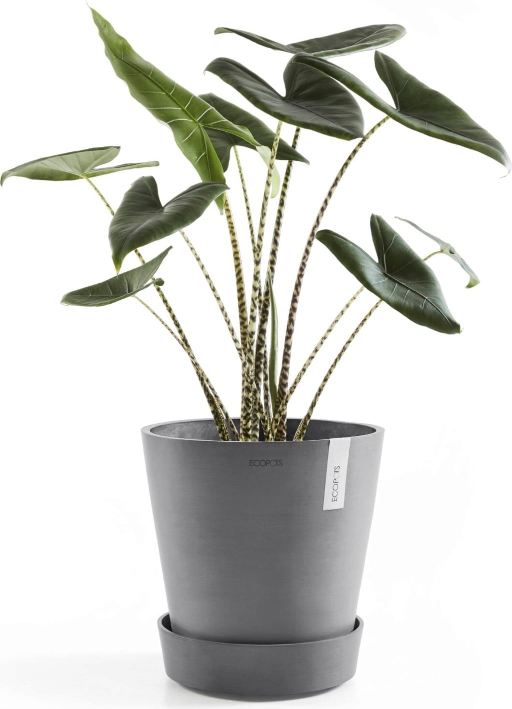Ecopots Untersetzer Wheels grau - ∅ 28,70, Höhe 8,30 cm