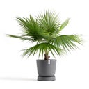 Ecopots Soucoupe Wheels Oslo Grise - ∅ 45,40, hauteur 10,5 cm