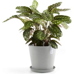 Ecopots Untersetzer Rund weißgrau - ∅ 28,9, Höhe 3 cm