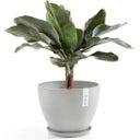 Ecopots Untersetzer Rund weißgrau - ∅ 28,9, Höhe 3 cm