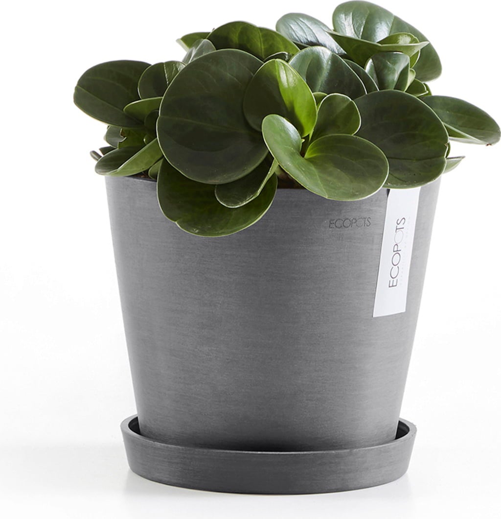 Ecopots Underlägg / Fat Rund grå - ∅ 17,8, höjd 2,5 cm