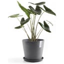 Ecopots Underlägg / Fat Rund grå - ∅ 37, höjd 3,8 cm