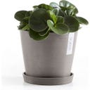 Ecopots Untersetzer Rund taupe - ∅ 18, Höhe 2,5 cm