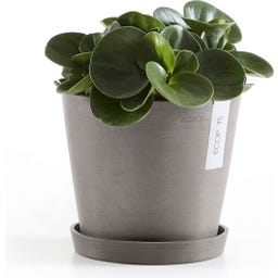 Ecopots Untersetzer Rund taupe - ∅ 18, Höhe 2,5 cm