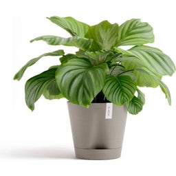 Ecopots Pot Venice 2 taupe - Ø 30 cm, höjd 27,5 cm