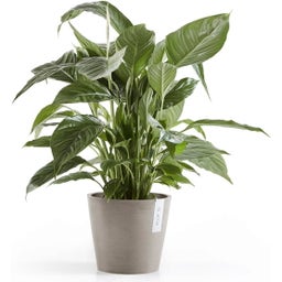 Ecopots Amsterdam Planter - Taupe - Ø 20 cm, Height 17.1 cm