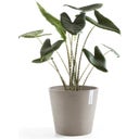 Ecopots Pot Amsterdam - Taupe - Ø 30 cm, hoogte 25,4 cm