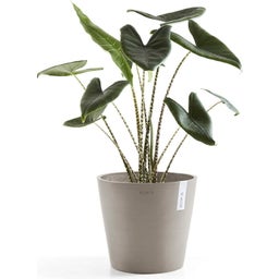 Ecopots Pot Amsterdam - Taupe - Ø 30 cm, hoogte 25,4 cm