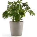 Ecopots Topf Amsterdam taupe - Ø 50 cm, Höhe 43,50 cm