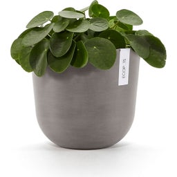 Ecopots Topf Oslo taupe - Ø 25 cm, Höhe 21,80 cm