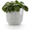 Ecopots Oslo Blanc Gris + Réservoir d'Eau - Ø 25 cm, Höhe 21,80 cm