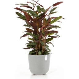 Ecopots Topf Oslo mit Wasserreservoir weißgrau - Ø 35 cm, Höhe 30,50 cm