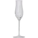 Interismo Digestif Grappa Glass - 1 pc.