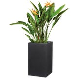 Scheurich Vaso C-Cube High - Nero Pietra