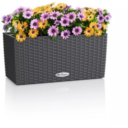 Lechuza Pflanzgefäß BALCONERA Cottage 40 - granit