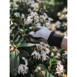 by Benson Basic Gardening Gloves - L