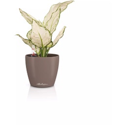 Lechuza Jardinière CLASSICO Color 12 - muscade