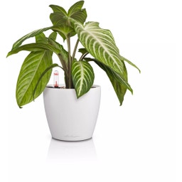 Lechuza CLASSICO Color 14 Planter - white