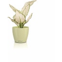 Lechuza Macetero - CLASSICO Color 12 DECO - Tilo verde