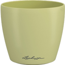 Lechuza CLASSICO Color 14 DECO Planter - lime tree