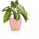 Lechuza Pflanzgefäß CLASSICO Color 14 DECO - magnolie