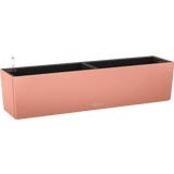 Lechuza Vaso - BALCONERA Color 80