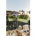 Lechuza BALCONERA Color 80 Planter - linden