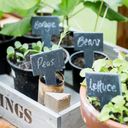 Garden Trading Etiquettes à Planter - 1 pcs