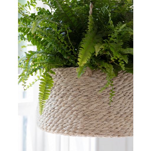 Garden Trading Hanging Basket - Flat