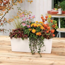 Lechuza BALCONERA Color 40 Planter