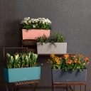 Lechuza BALCONERA Color 100 Planter