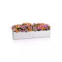 Lechuza BALCONERA Stone 100 Planter - quartz white