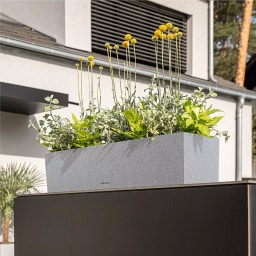 Lechuza BALCONERA Stone 100 Planter