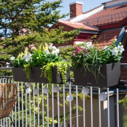 Lechuza BALCONERA Stone 100 Planter