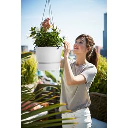 elho greenville Hanging Flowerpot 24 cm - Blanco