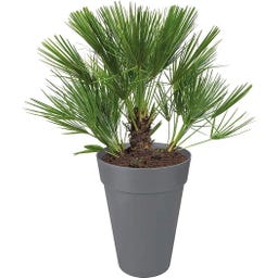 elho Pot Rond Haut LOFT URBAN - 28 cm - anthracite